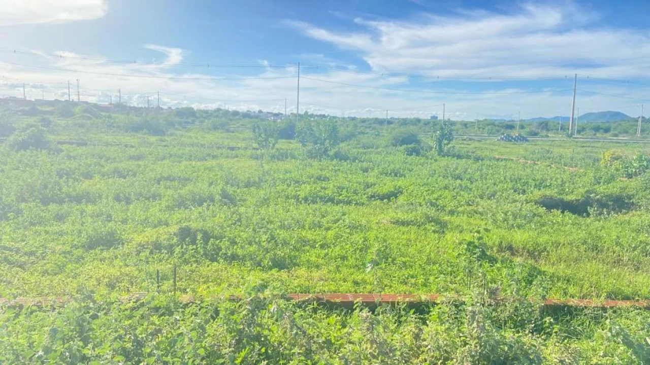 Lote no Loteamento Vista da Serra