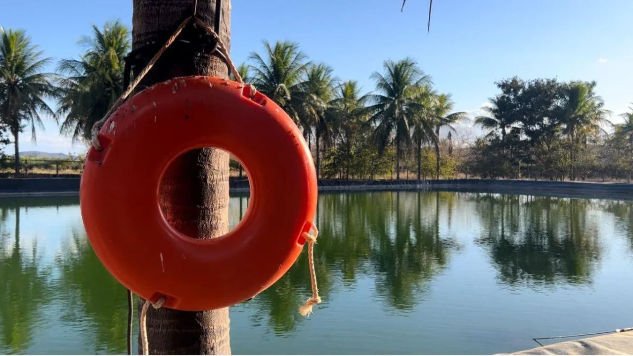 Haras Residence Brasil