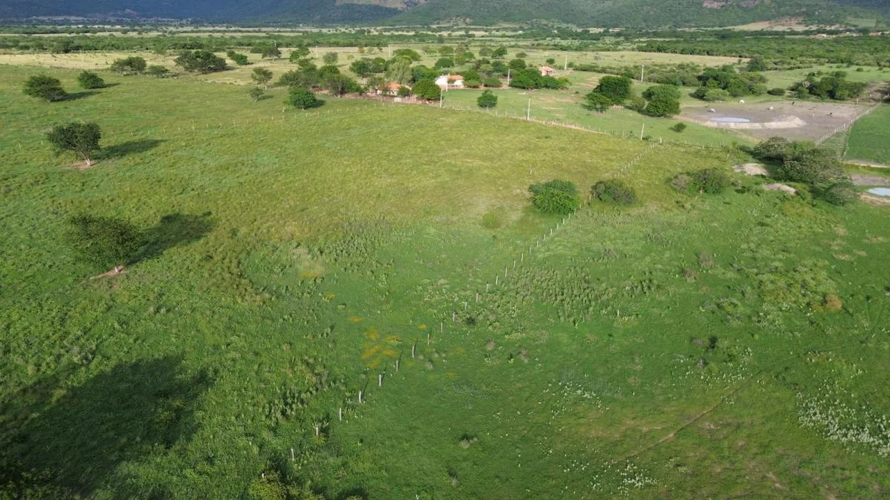 Fazenda Nova Esperança
