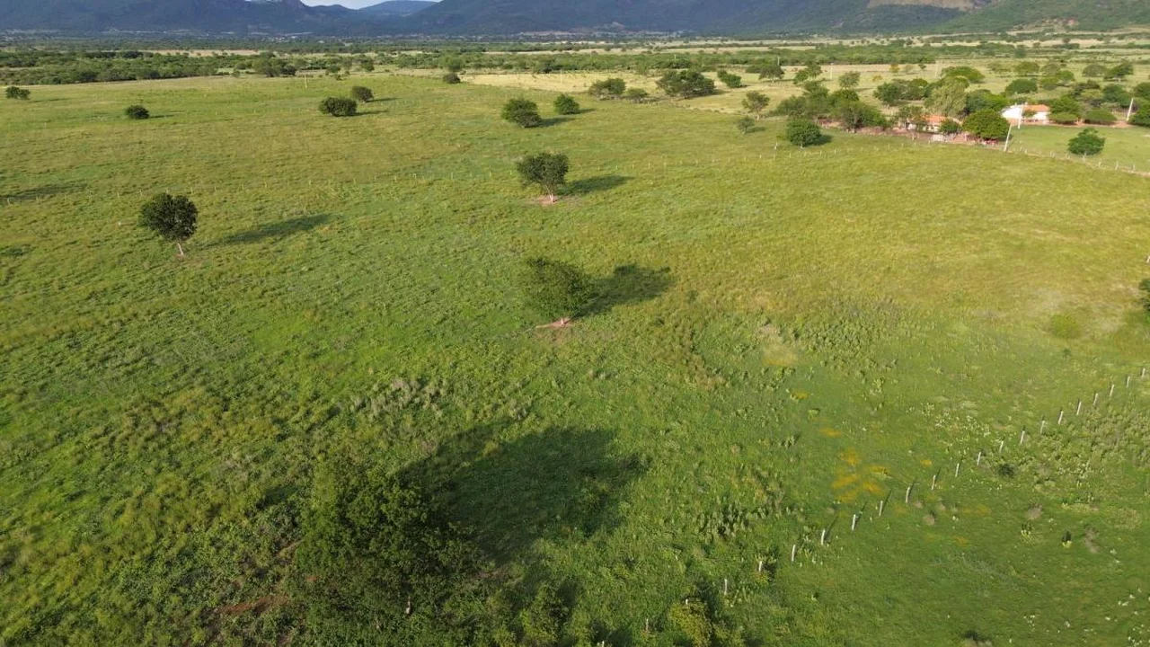 Fazenda Nova Esperança