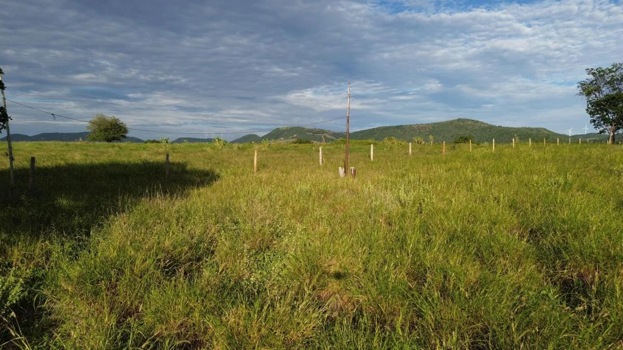 Fazenda Nova Esperança
