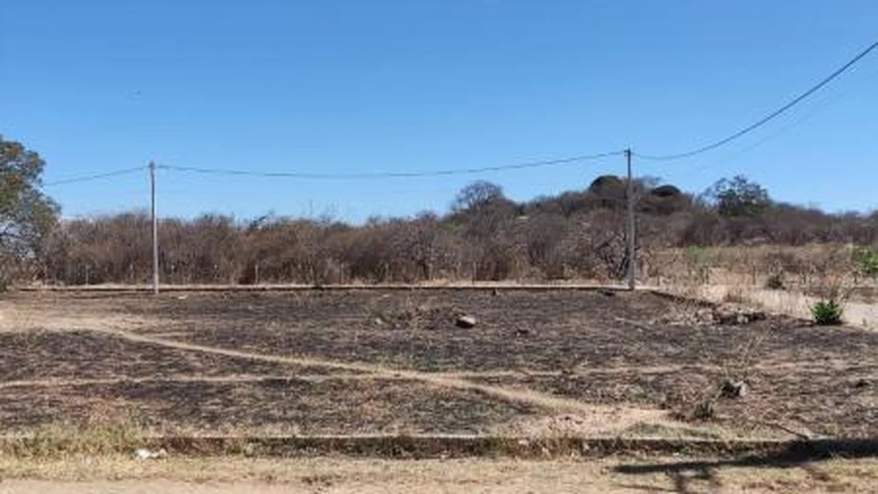 Lote renascer 2 70mil