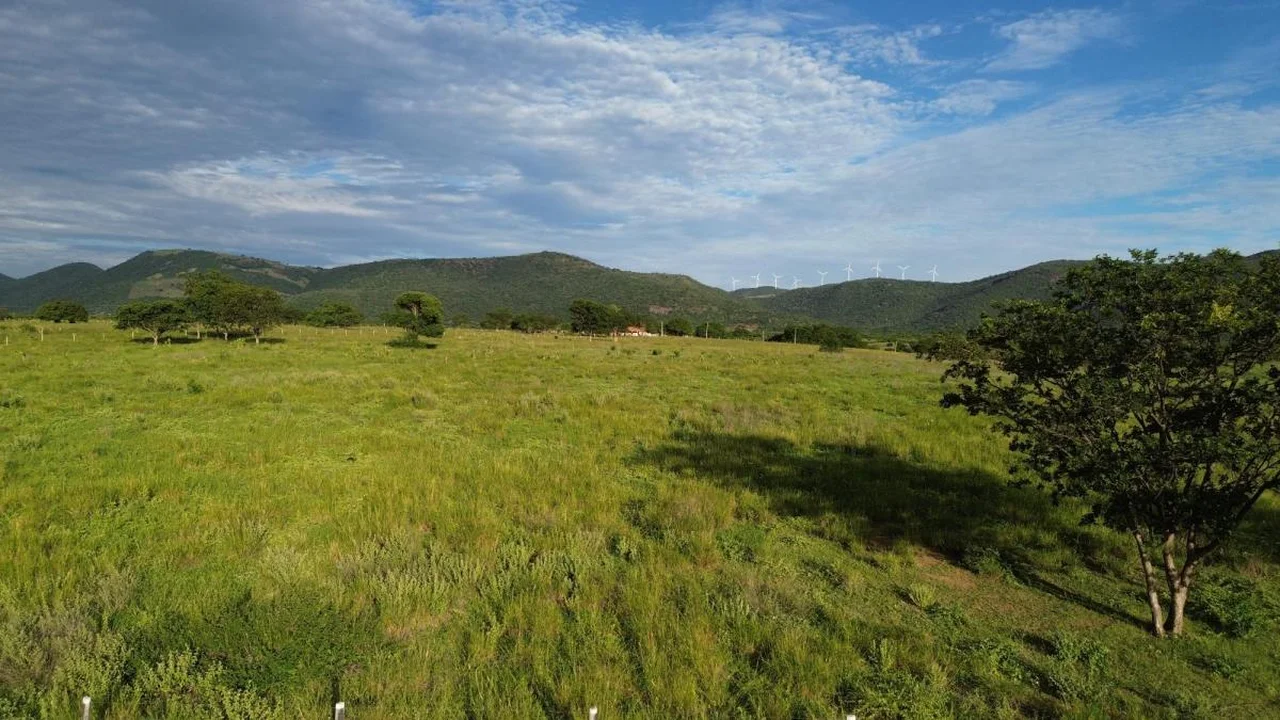 Fazenda Nova Esperança