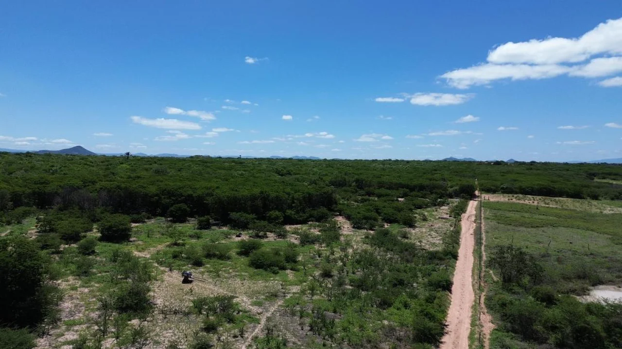 Fazenda Itaúna – Guanambi/BA