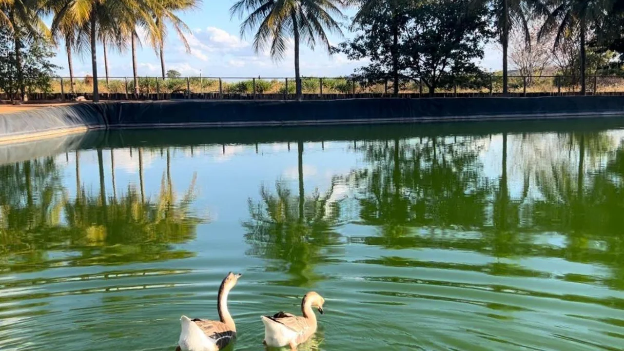 Haras Residence Brasil