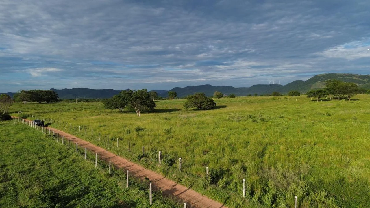 Fazenda Nova Esperança