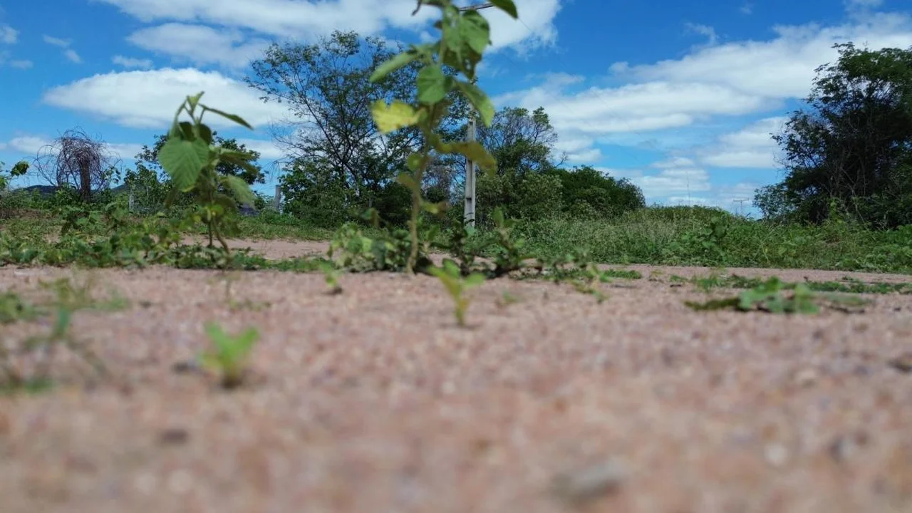 Fazenda Itaúna – Guanambi/BA