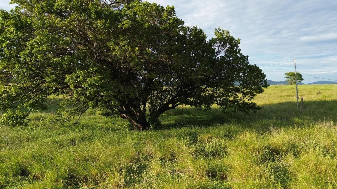 Fazenda Nova Esperança