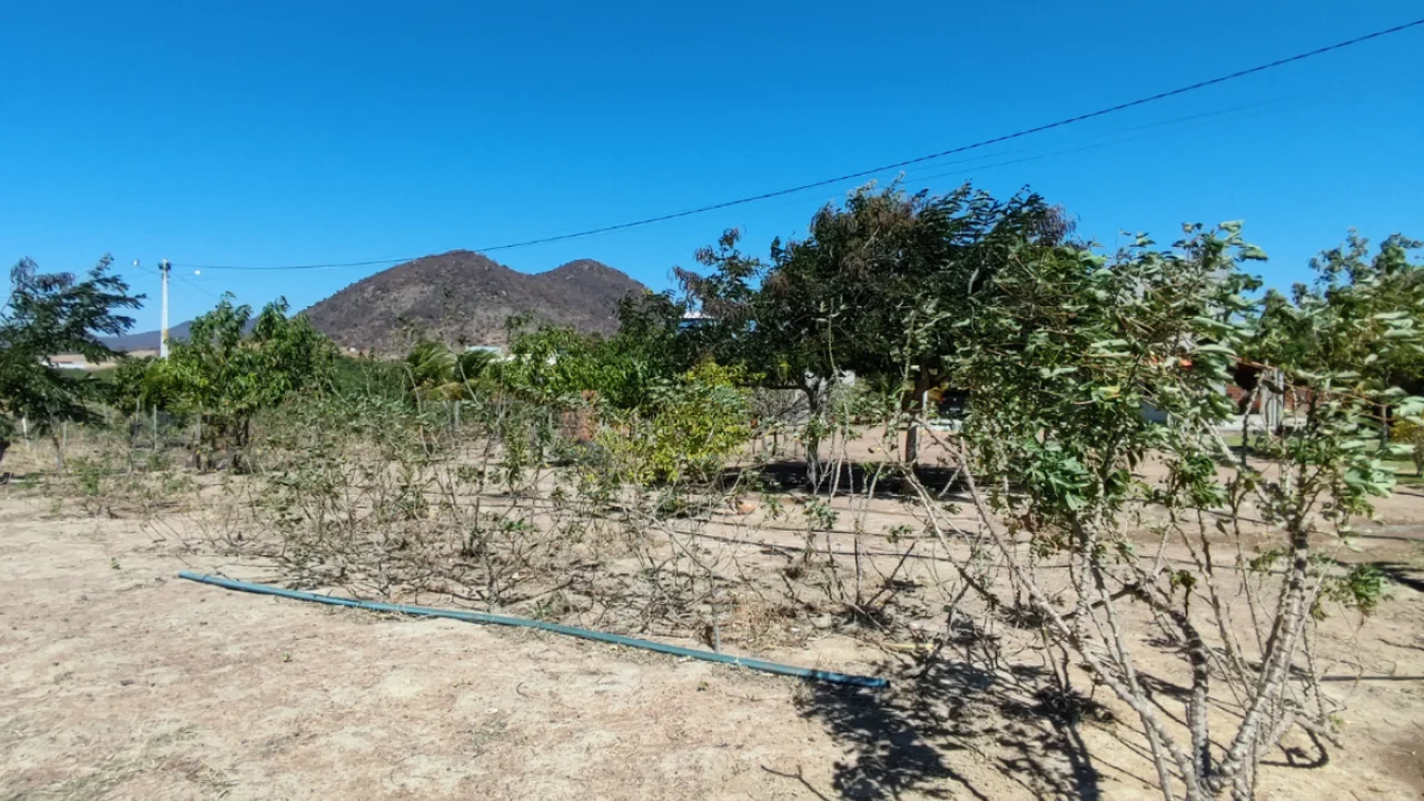 Casa na Fazenda Laranjo R$ 350 mil