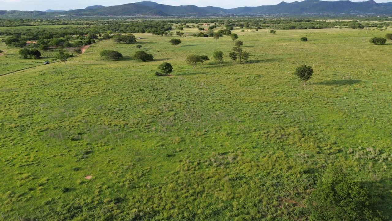 Fazenda Nova Esperança