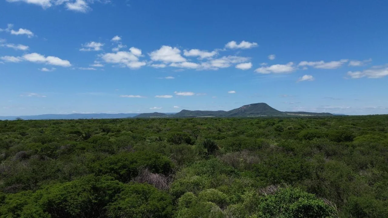 Fazenda Itaúna – Guanambi/BA