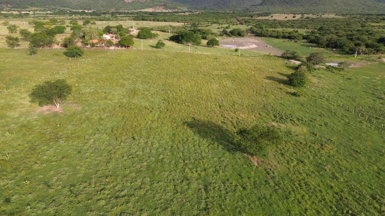 Fazenda Nova Esperança